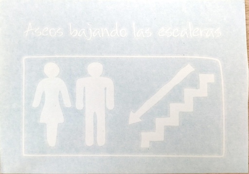 [LSM.SEN.19] Aseo bajando escaleras izquierda