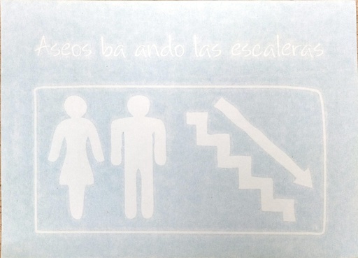 [LSM.SEN.20] Aseo bajando escaleras derecha