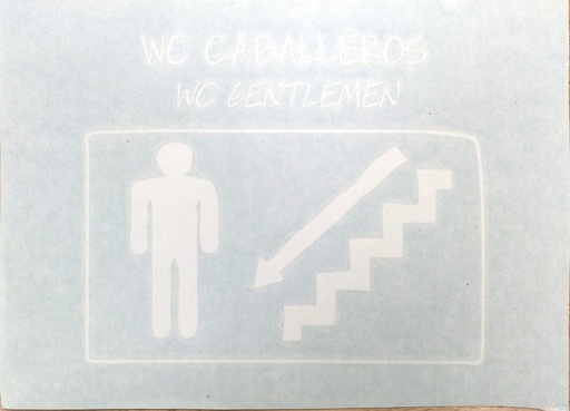 [LSM.SEN.21] Aseo hombres bajando escaleras izquierda