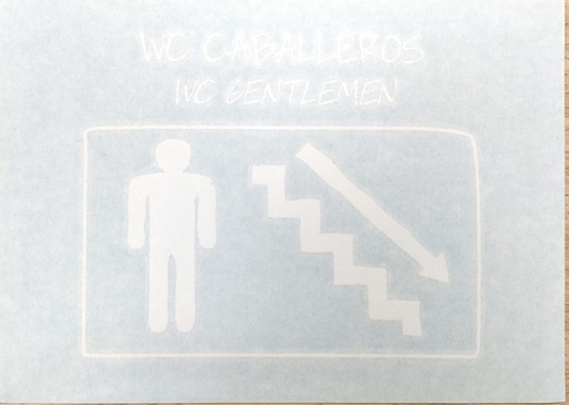 [LSM.SEN.22] Aseo hombres bajando escaleras derecha