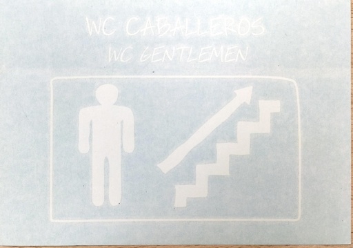 [LSM.SEN.24] Aseo hombres subiendo escaleras derecha