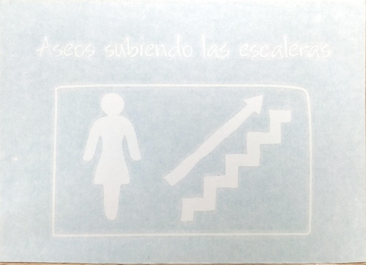 [LSM.SEN.28] Aseo mujeres subiendo escaleras derecha